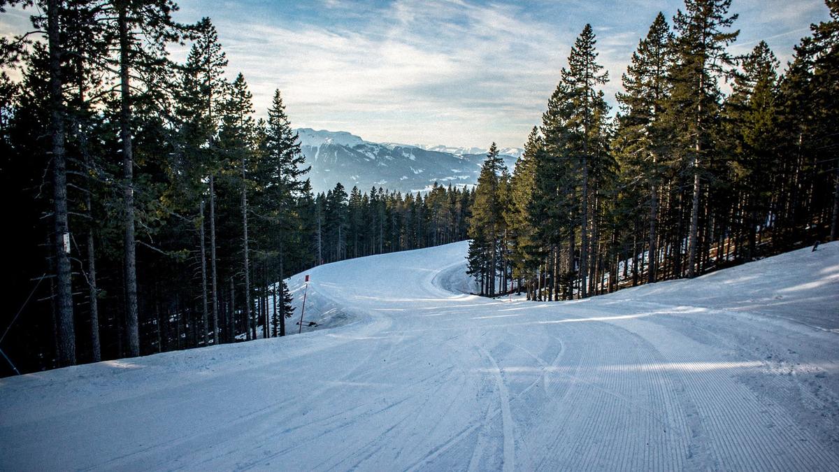 Groomed piste running between pine trees under a clear alpine sky